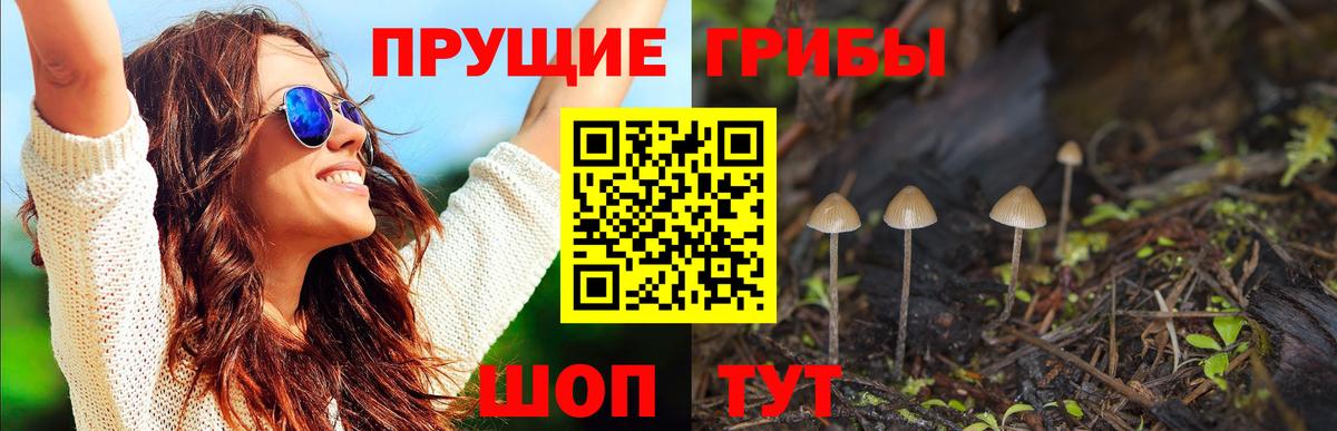 Псилоцибиновые грибы ЛСД  Вход с VPN  Йошкар-Ола  Псилоцибиновые грибы GOLDEN TEACHER 